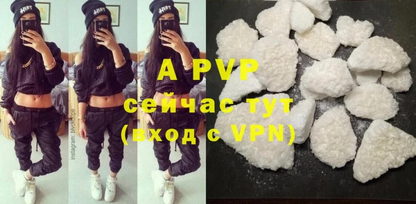 индика Козловка