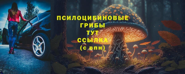 трава Костерёво